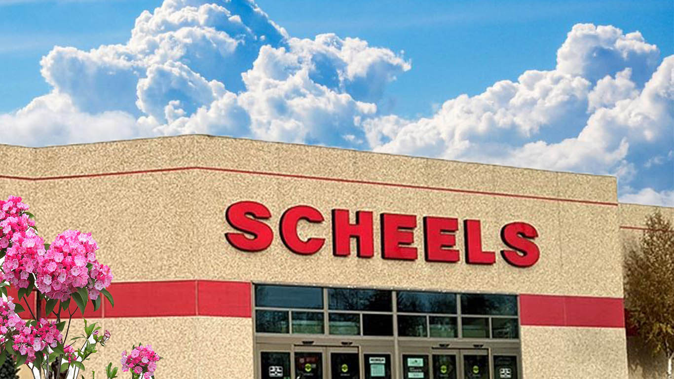 Scheels Return policy Update