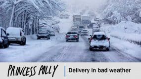 How Long Does Princess Polly Take To Ship in 2022? (Answer)