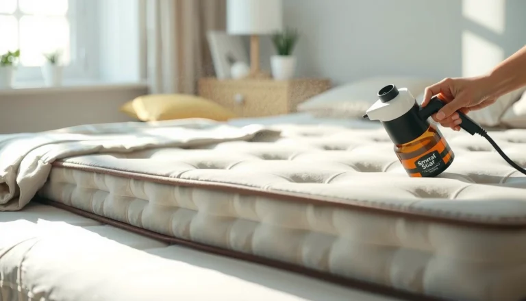 Mattress Cleaning Guide: How to Clean, Deodorize, and Disinfect