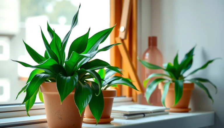 Indoor Plants That Purify Air: Best Options for Cleaner Breathing